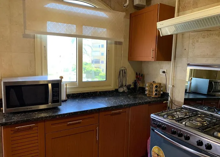 Modern Downtown Sheikh Zayed Condo